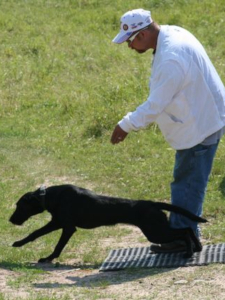 Indy - Bustin' Waters Kennel